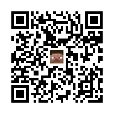 skins.qr_code_alt