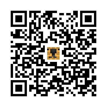 skins.qr_code_alt