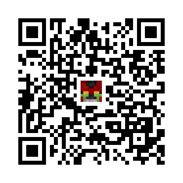 skins.qr_code_alt
