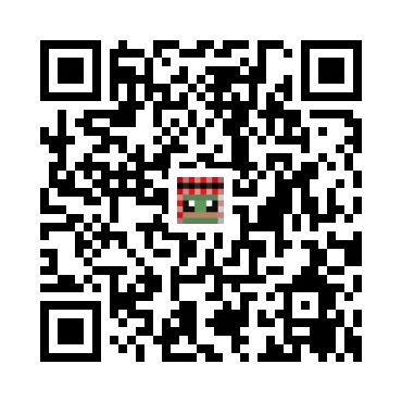 skins.qr_code_alt