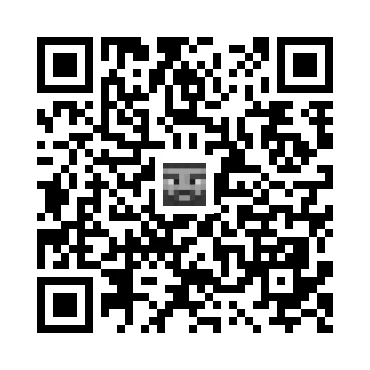 skins.qr_code_alt
