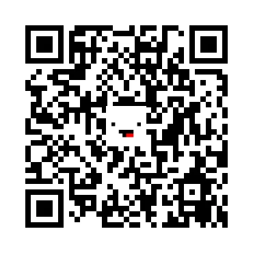skins.qr_code_alt