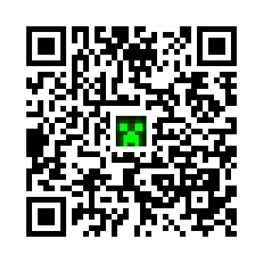 skins.qr_code_alt