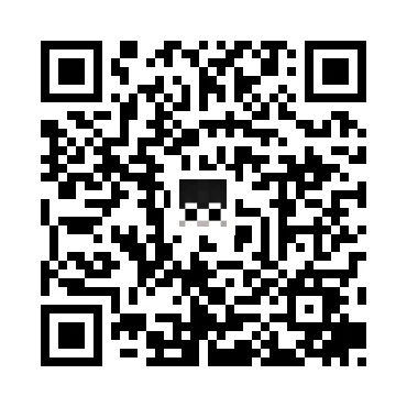 skins.qr_code_alt