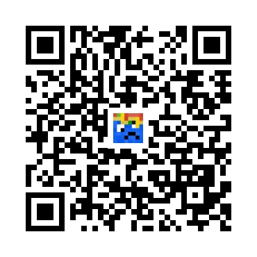 skins.qr_code_alt