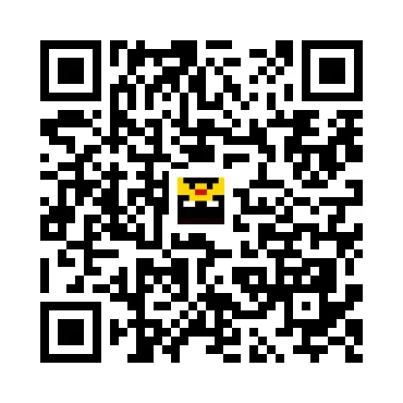 skins.qr_code_alt