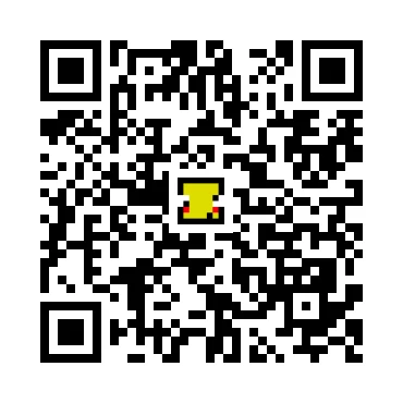 skins.qr_code_alt