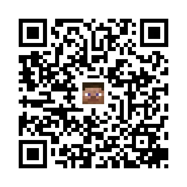 skins.qr_code_alt