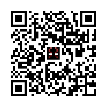 skins.qr_code_alt