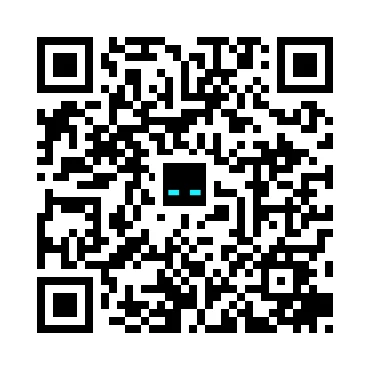 skins.qr_code_alt
