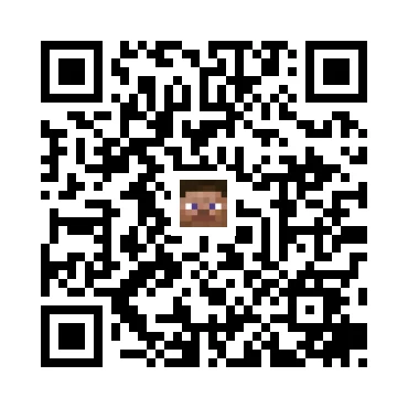 skins.qr_code_alt