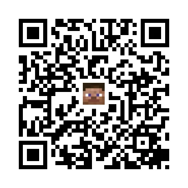 skins.qr_code_alt