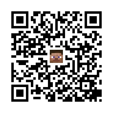 skins.qr_code_alt