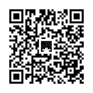skins.qr_code_alt