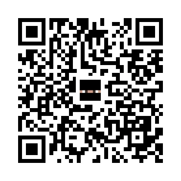 skins.qr_code_alt