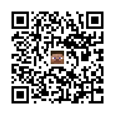 skins.qr_code_alt