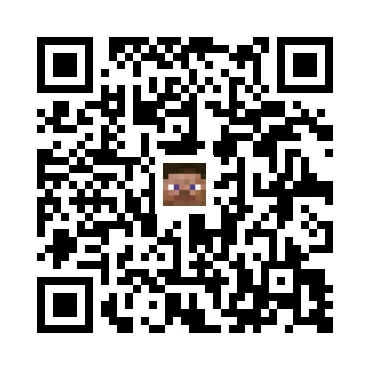 skins.qr_code_alt