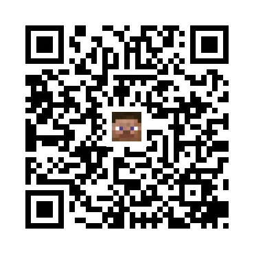 skins.qr_code_alt
