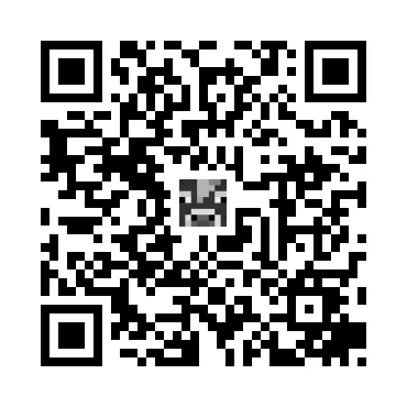 skins.qr_code_alt
