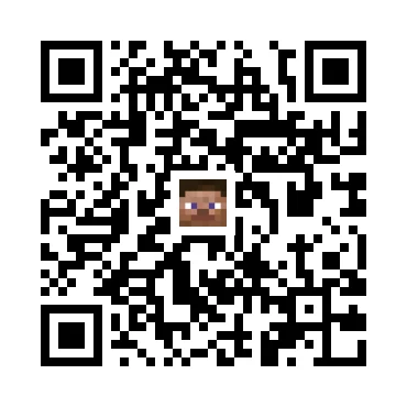 skins.qr_code_alt