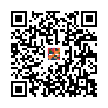 skins.qr_code_alt