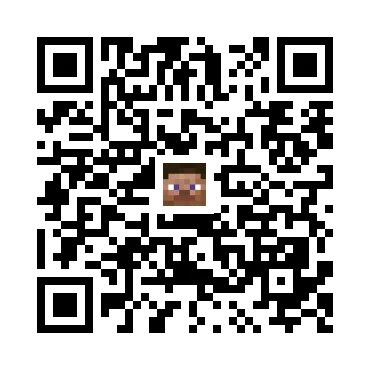 skins.qr_code_alt