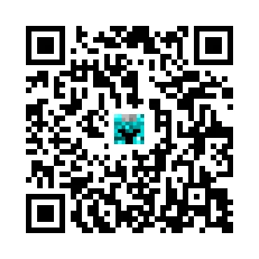 skins.qr_code_alt