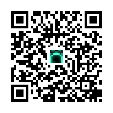 skins.qr_code_alt