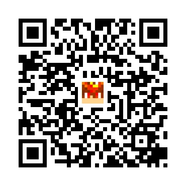 skins.qr_code_alt