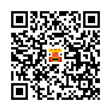 skins.qr_code_alt