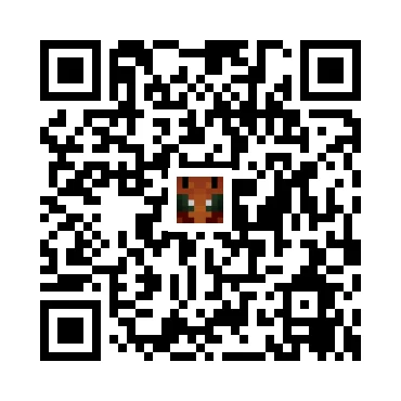 skins.qr_code_alt