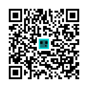skins.qr_code_alt