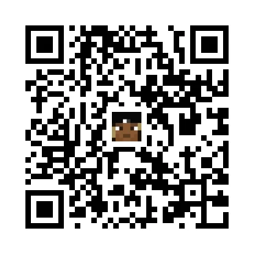 skins.qr_code_alt