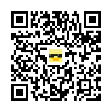 skins.qr_code_alt