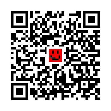 skins.qr_code_alt