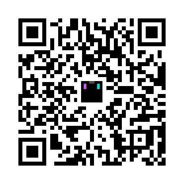 skins.qr_code_alt