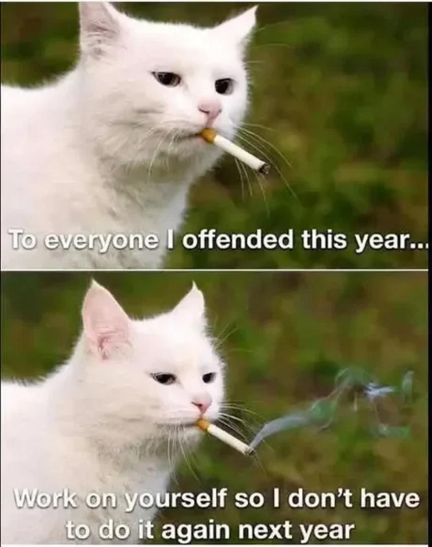 aNDXnrb_460swp.webp aNDXnrb_460swp.webp