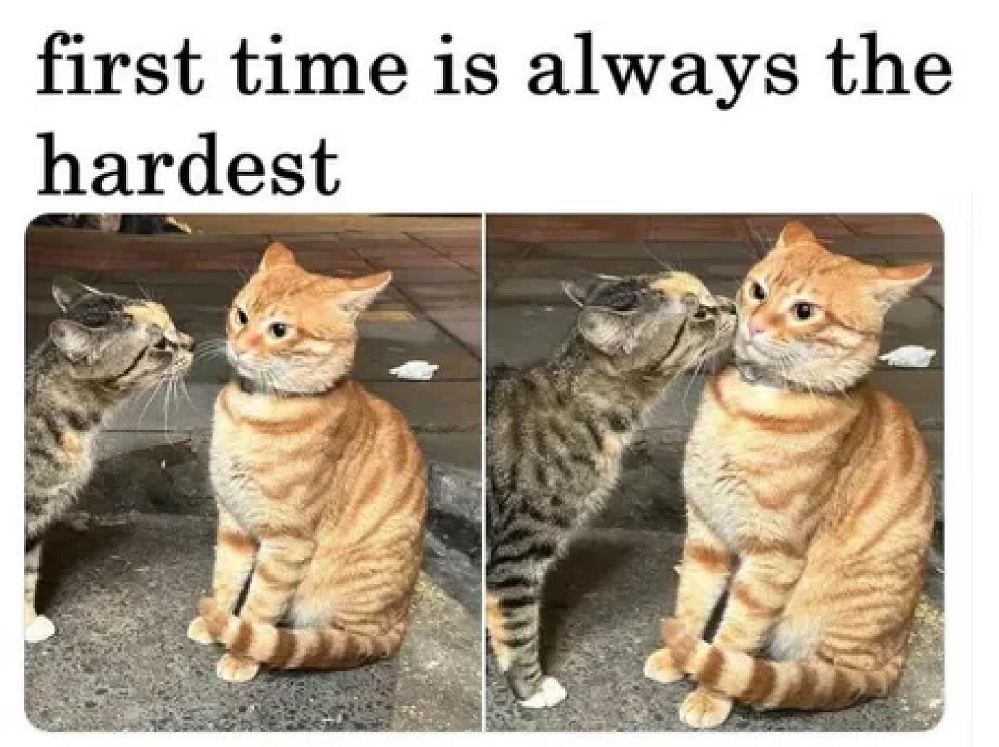 a5QAPGL_460swp.webp a5QAPGL_460swp.webp