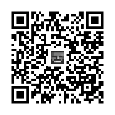 skins.qr_code_alt