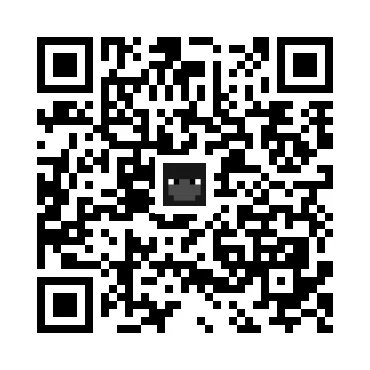 skins.qr_code_alt