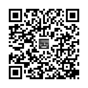 skins.qr_code_alt