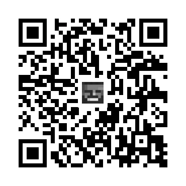 skins.qr_code_alt