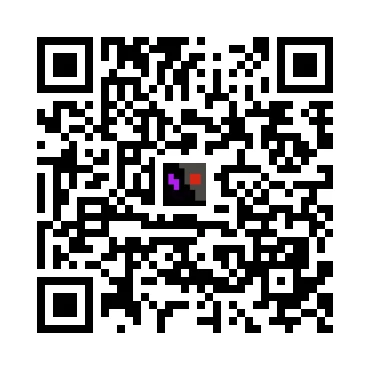 skins.qr_code_alt