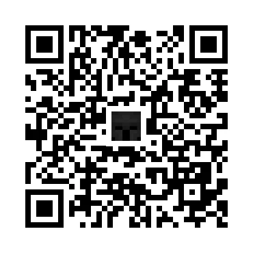 skins.qr_code_alt