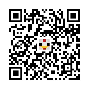 skins.qr_code_alt