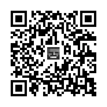 skins.qr_code_alt