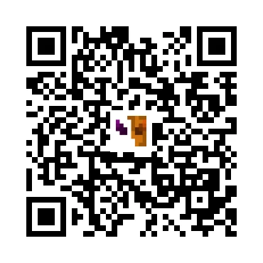 skins.qr_code_alt