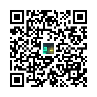 skins.qr_code_alt