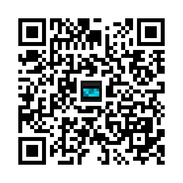 skins.qr_code_alt