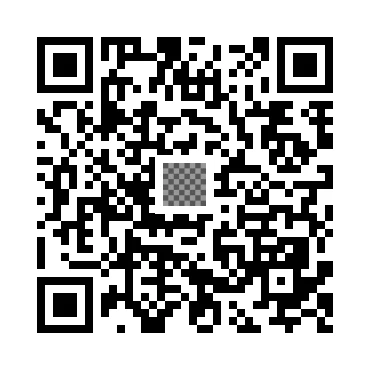 skins.qr_code_alt
